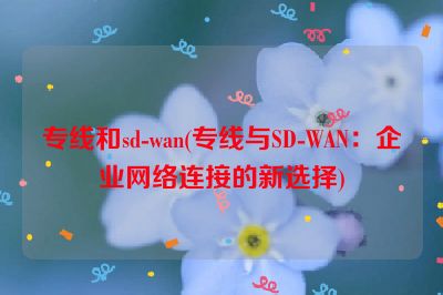 专线和sd-wan(专线与SD-WAN：企业网络连接的新选择)