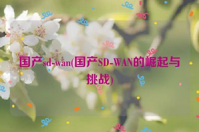 国产sd-wan(国产SD-WAN的崛起与挑战)