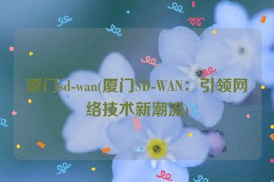 厦门sd-wan(厦门SD-WAN：引领网络技术新潮流)