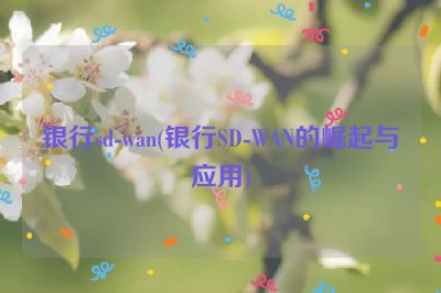 银行sd-wan(银行SD-WAN的崛起与应用)