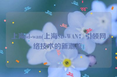 上海sd-wan(上海SD-WAN：引领网络技术的新潮流)