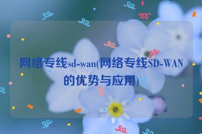 网络专线sd-wan(网络专线SD-WAN的优势与应用)