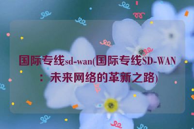国际专线sd-wan(国际专线SD-WAN：未来网络的革新之路)