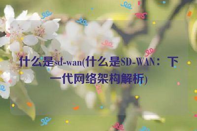 什么是sd-wan(什么是SD-WAN：下一代网络架构解析)