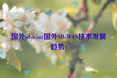 国外sd-wan(国外SD-WAN技术发展趋势)